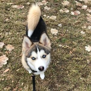 Meet your Posher, Rhonda